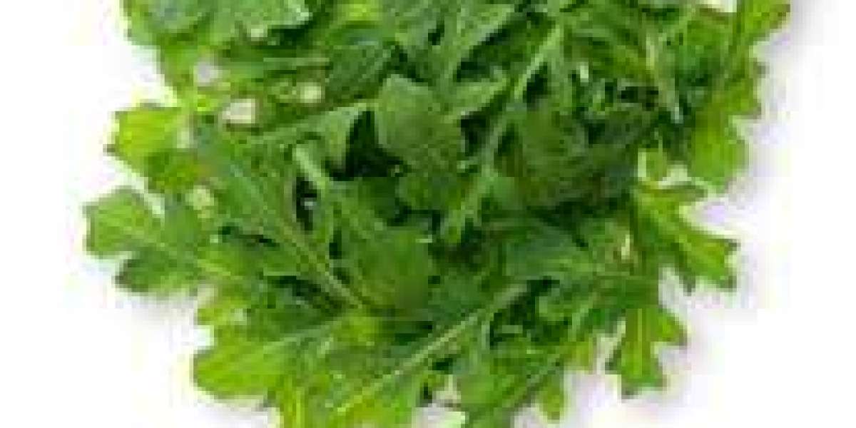 Unveiling the Marvels of Coriander Leaves