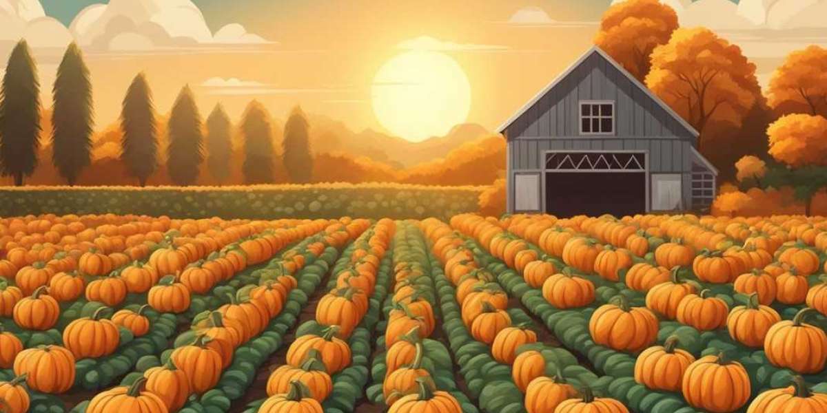 Discover the Best Pumpkin Patch Nearby at Kustermans Berry Farms