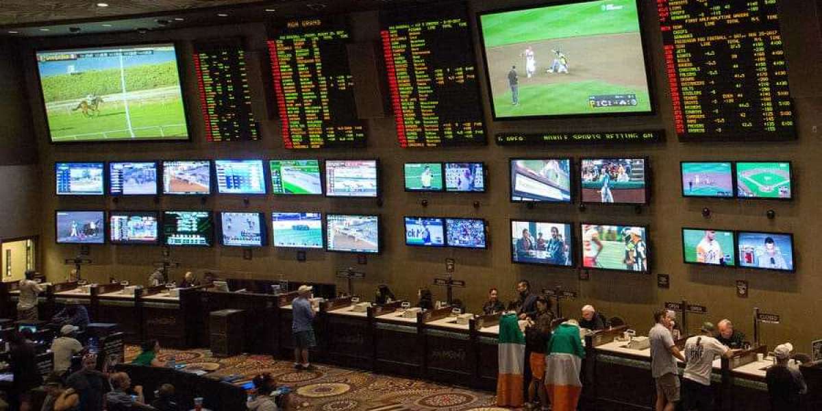 Rolling the Dice Online: Navigating the World of Korean Betting Sites