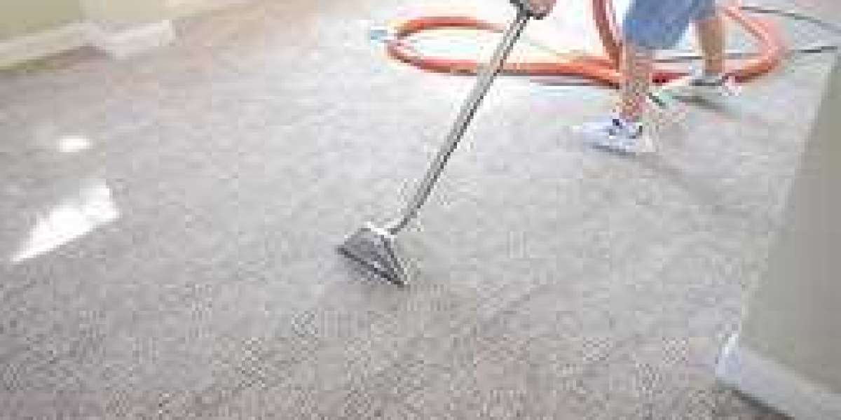 The Art of Cleanliness: Professional Carpet Cleaning Benefits