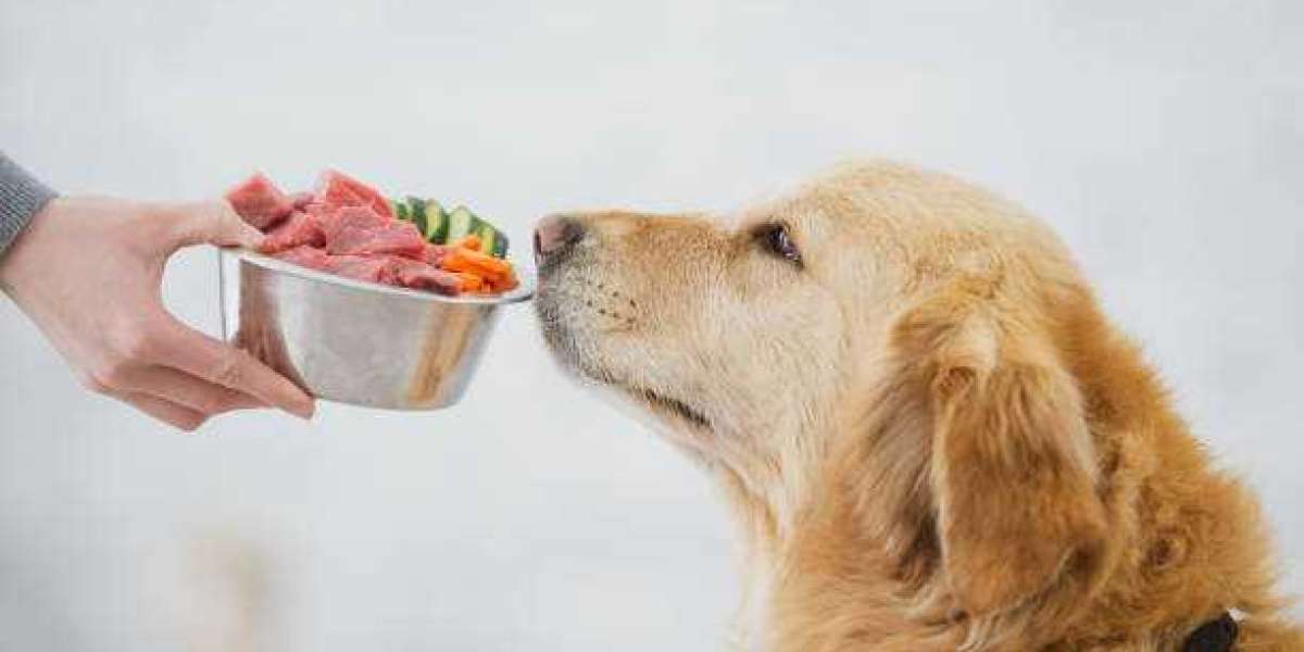 FurryTalez's Premium Dog Food Selection