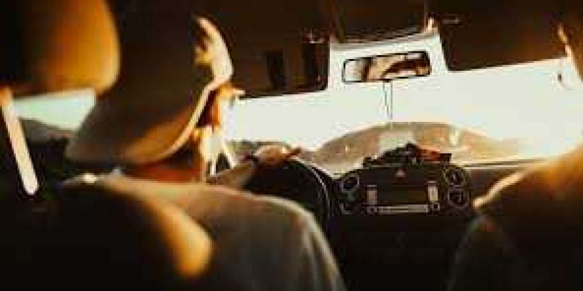 Driving School Trends You Need to Know | 2024