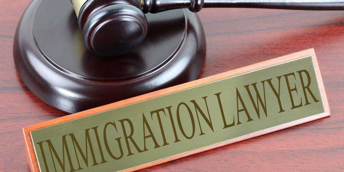 How Dublin-Based Immigration Solicitors Can Streamline Your Case