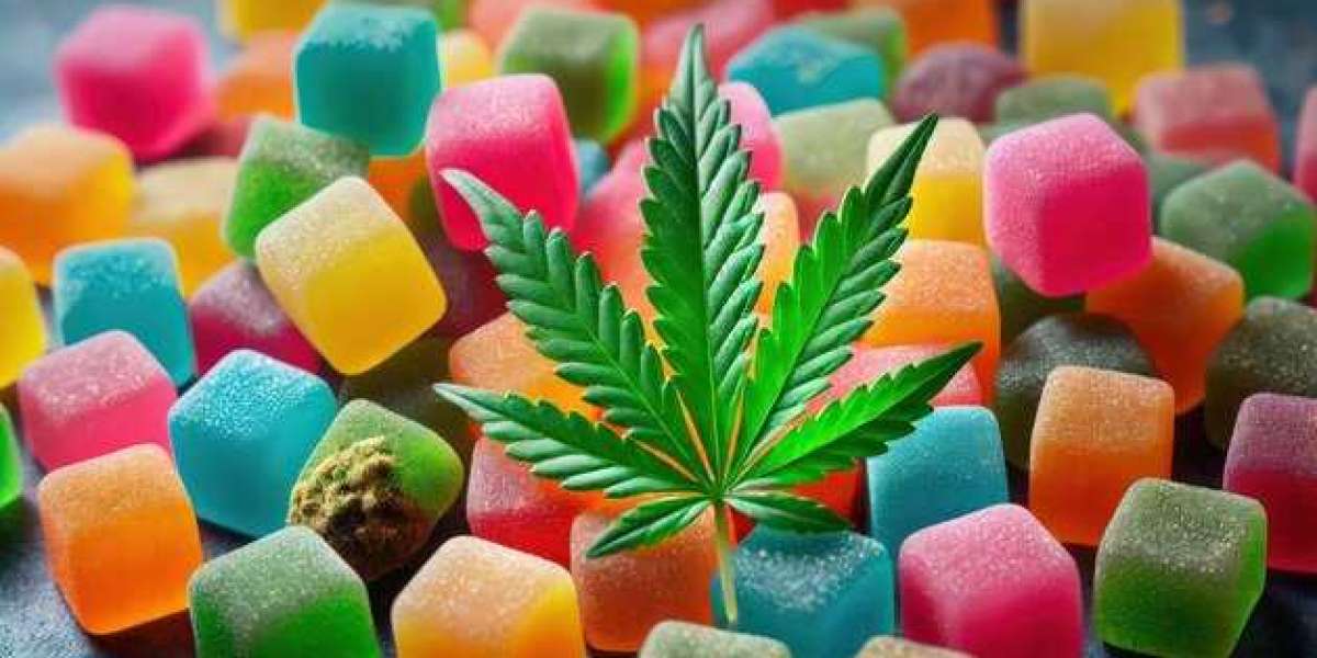 Canna Plus CBD Gummies France Reviews Reviews:-Read everything you can!