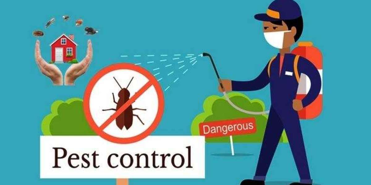 The Basics of Pest Control