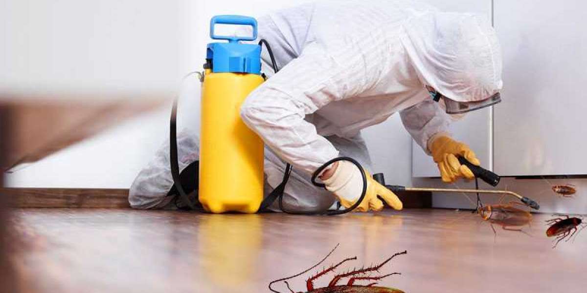 Pest Control - What You Need to Know