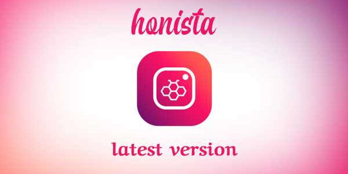 Honista Instagram the Social Media Experience