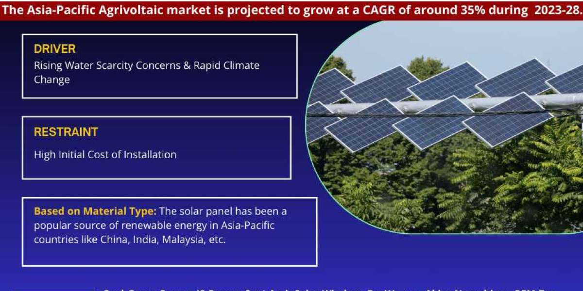 Asia-Pacific Agrivoltaic Market Industry Analysis, Future Demand Projections, and Forecasts Until 2028