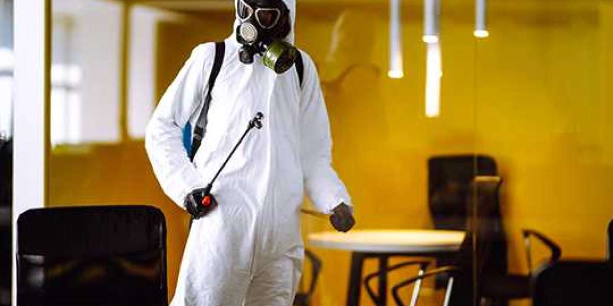 Comprehensive Pest Control Services in Etobicoke: Keeping Your Space Pest-Free