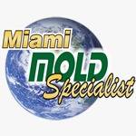 Mold Removal Contractor Miami