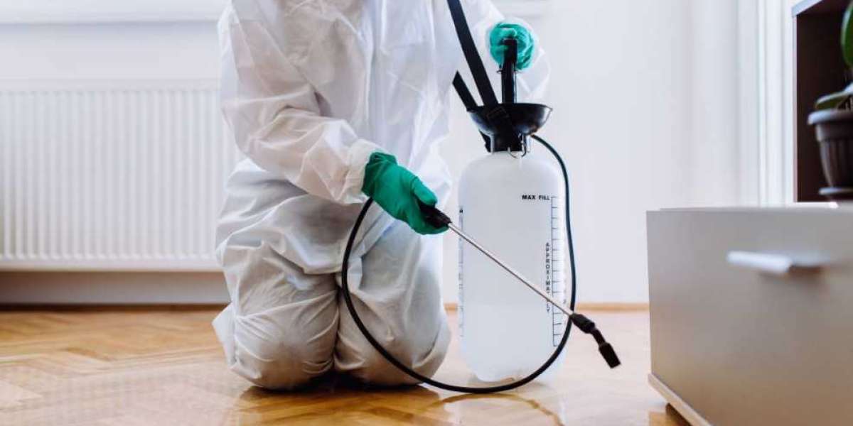 Pest Control Services in Barrie: Ensuring a Pest-Free Environment